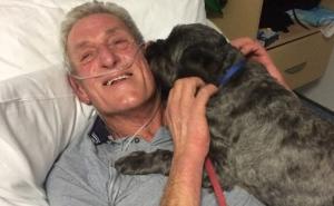 Pas lavežom probudio svog vlasnika iz kome tri dana ranije 